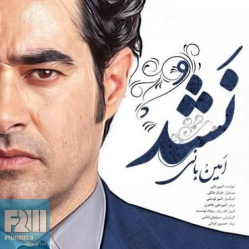 دانلود آهنگ امین بانی نشد