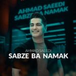 دانلود آهنگ جدید احمد سعیدی سبزه با نمک